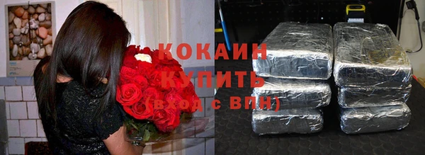 тгк Нея