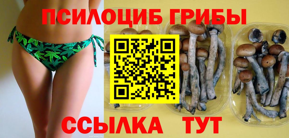 Псилоцибиновые грибы мухоморы Муравленко
